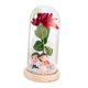 thumbnail image 5 of Rosa iluminada en cúpula de cristal, decoración creativa para San Valentín, regalos de flores rosas para Pareja de bases de madera, 5 of 9