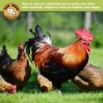 thumbnail image 2 of Larvas secas de mosca Black Soldier, 2,27 kg, para pollos y aves, 2 of 6