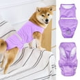 thumbnail image 4 of Pet Recovery Clothes Comfortable Breathable Adjustable Dog Surgery Recovery Suit Anti-licking Protection Pet Supply Pink S, 4 of 13