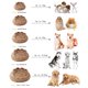 thumbnail image 3 of Pet Dog Bed Mat Basket Sofa Cats Products Medium Dogs Small Blanket Beds Large Baskets Pets Breeds Accessories Big Cushion Puppy ShopWise Round, 3 of 11