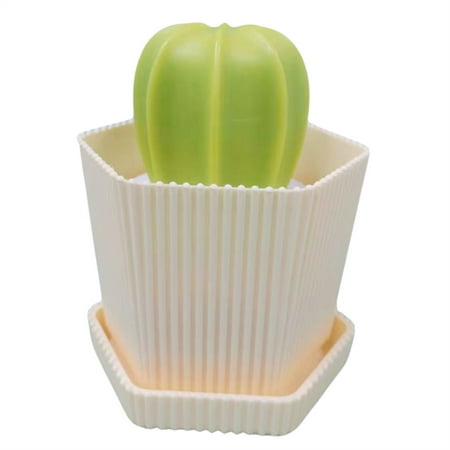 

Cactus Dish Scrubber with Handle Dishes Brush with Detachable Nano Cleaning Ball Cactus Brushes Scrubber for Cleaning Dish Pot Pan Kitchen Sink Tool