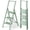 Pale Green, variant on PETGLE 3 Step Foldable Aluminum Step Ladder with Handgrip, Anti-Slip Pedal, 330 lbs Capacity, Lightweight & Portable for Home, Kitchen, Office, Garage (Orange)