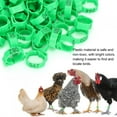 thumbnail image 1 of Chicken Foot Ring, Clip 100pcs Poultry Foot Clip, Red Foot Ring For Foot Ring Bird Buckle Chicken, 1 of 8