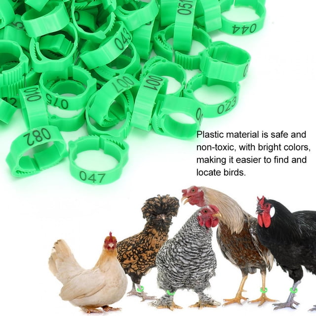 Chicken Foot Ring, Clip 100pcs Poultry Foot Clip, Red Foot Ring For Foot Ring Bird Buckle Chicken