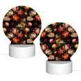 thumbnail image 2 of Salouo Colorful Tulips for Round Acrylic Night Light - Acrylic Sheets with LED Light Lamp Base - Decorative Night Lamp for Restaurant Bar Cafe Shop Room Decoration, 2 of 9