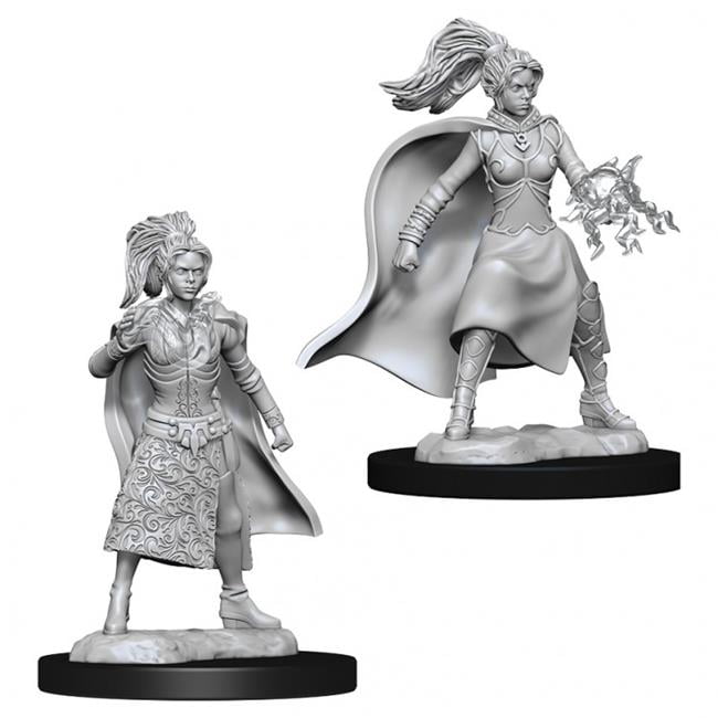 Female Human Warlock 2 pk Nolzurs D&D miniature Dungeons Dragons 