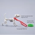 thumbnail image 2 of Mini Pose Squelette Poupée Chien Animal Modèle Haute Dureté Squelette Os Action Figure Collection Modèle Décorations Ensemble Bon Cadeau Squelette Chien, 2 of 6