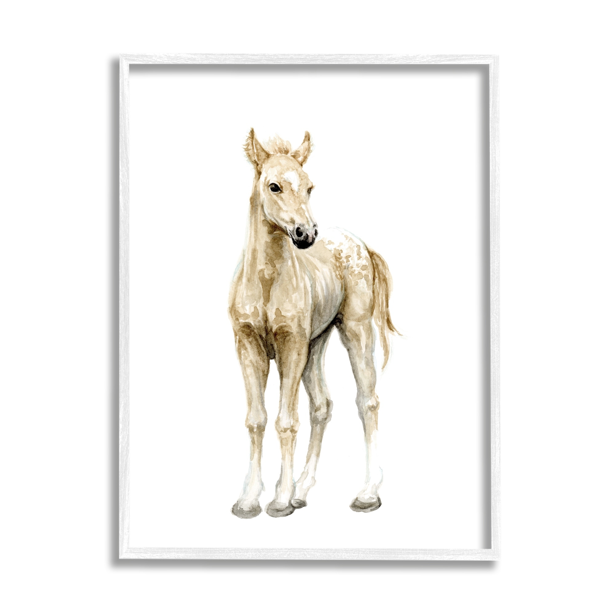 Stupell Industries Baby Horse Foal Watercolor Portrait Kids' Nursery Animal, 11 x 14,Design by Fox Hollow Studios