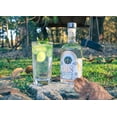 thumbnail image 2 of Gin Artesanal Mexicano Perro Desterrado London Dry, 2 of 2