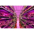 thumbnail image 2 of Growth Lamp,Led Plant Supplement Dimmable One Bloom Indoor Panel With 6 Dimmable With 3/6/12h Lamp Indoor Panel, 2 of 6