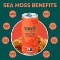 thumbnail image 3 of Wavii Hydration Organic Coconut Water with Organic Sea Moss, Variety Pack, 11 fl oz, 12 Cans, 3 of 10
