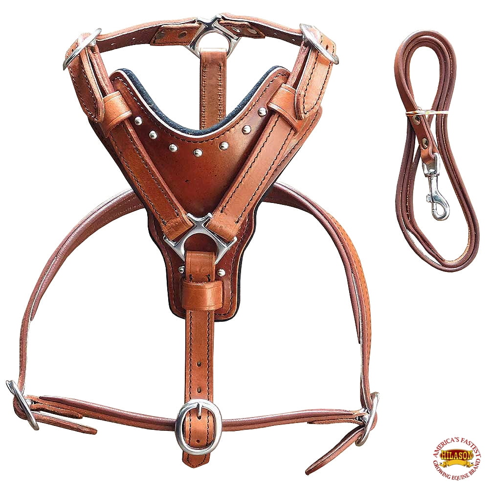 Extra Small Leather Dog Harness Mahogany Genuine Matching Leash Hilason