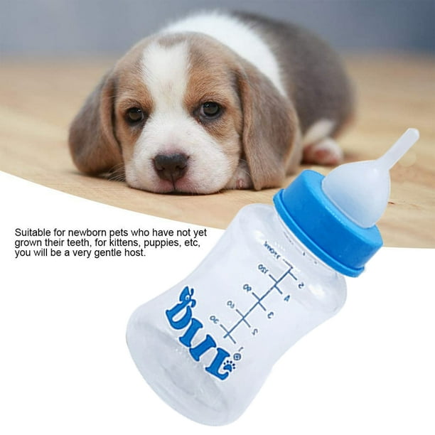 Nipple bottle hot sale for kittens