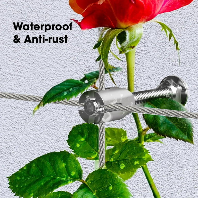 Stainless Steel Wall Trellis Kit, Heavy Duty Plant Support System