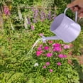 thumbnail image 4 of Qholemyo 1.5L Vintage Iron Metal Watering Can With Floral Decoration For Indoor Outdoor Garden Plants And Flower Pots, 4 of 6