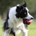 thumbnail image 4 of Pelota de fútbol de goma para perros Nerf Dog con chirriador interactivo Nerf Nerf Dog, 4 of 5