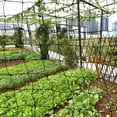 thumbnail image 2 of Garden Bird Net Thick Mesh Netting for Outdoor Orchard Fruits Berries Flowers Protection and More Nylon, 2 of 9