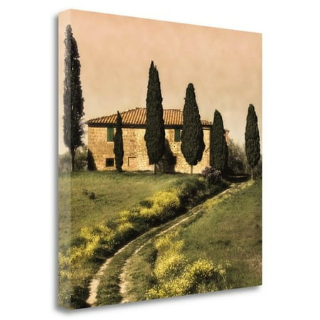 House Fine Art Canvas Print - Tangletown Fine Art 'Tuscan Farmhouse' Photographic Print on Wrapped Canvas