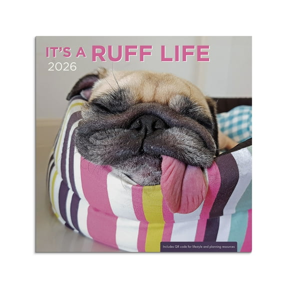 DaySpring Monthly Calendar (12"x12") It's a Ruff Life 12 Month Jan 2026-Dec 2026