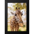 thumbnail image 2 of Mansfield, Kathy 11x14 Black Modern Framed Museum Art Print Titled - Curious Giraffe, 2 of 5