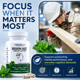 thumbnail image 5 of Brain Aid Memory Matters – Brain Health Supplement with Neumentix, 90 Capsules, 5 of 8