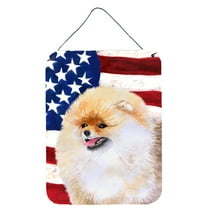 Pomeranian Patriotic Wall or Door Hanging Prints