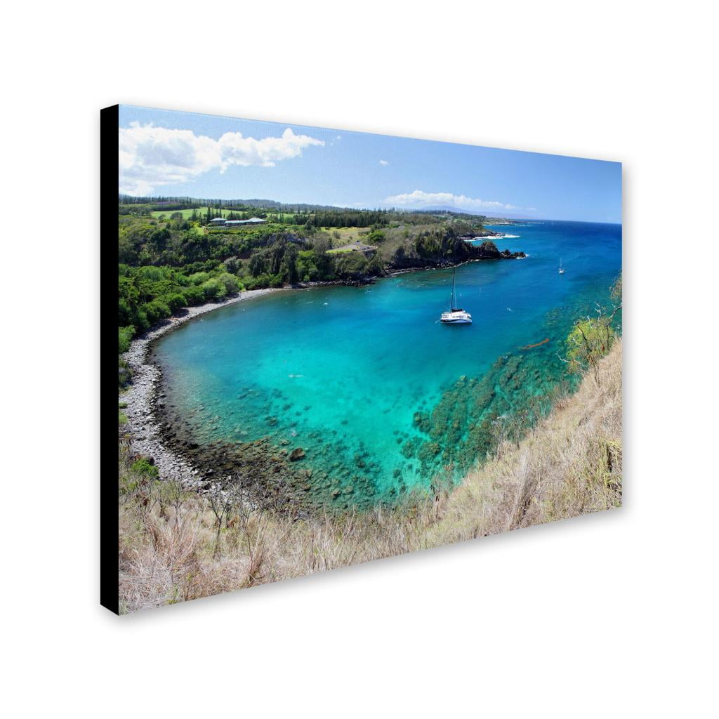 Trademark Fine Art "Honolua Bay" Canvas Art by Pierre Leclerc