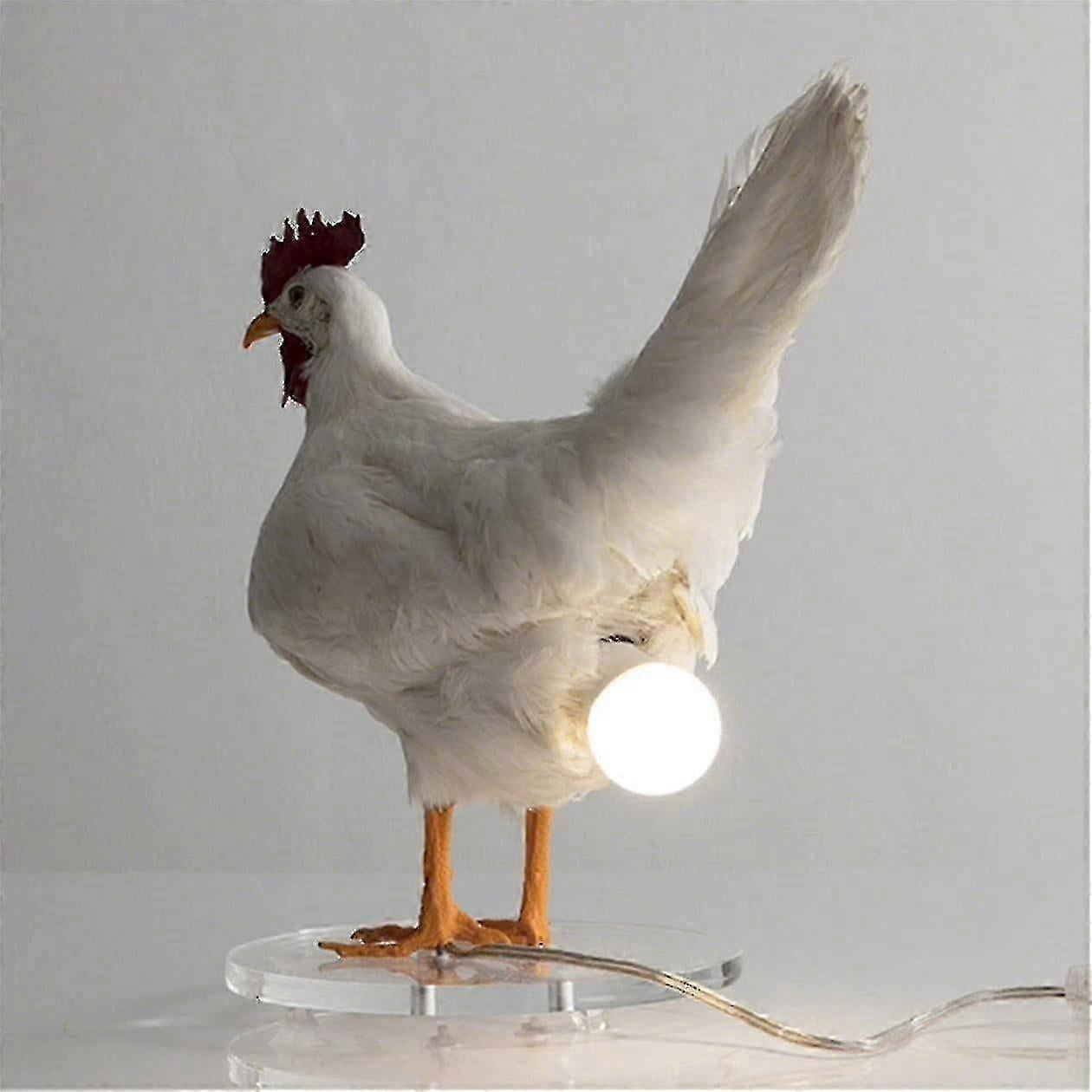 New,suitable Chicken Led Lamp Egg Night Lamp Taxidermy Egg Desk Lamp ...