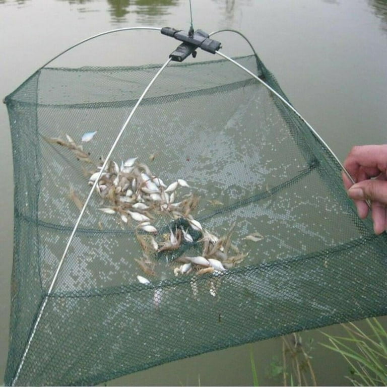 Portable Prawn Net Drop Landing Fishing Pond 24 inch Folding Fishes Net Perfect for Keeping Fishes, Size: 60x60cm, Green