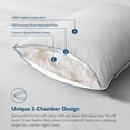 thumbnail image 5 of Dafinner Hypoallergenic 3‑Chamber Goose Feather Down Core Bed Pillows, King Size Set of 2, With Microfiber Surround, Soft-Medium Support For All Sleepers (20x36, White), 5 of 9