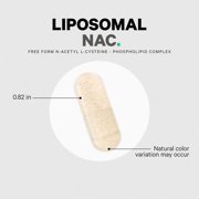 Codeage Liposomal NAC, Free-Form N-Acetyl-L-Cysteine, Phospholipid Complex, 120 Capsules