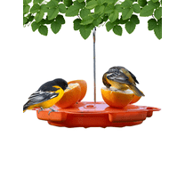 Songbird Essentials Ultimate Oriole Feeder, 32 oz.