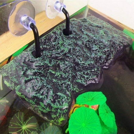 Turtle Bask Platform with Sucking Disk Rectangular Basking Platform Aquarium Terrarium (Best Turtle Basking Platform)