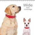 thumbnail image 3 of Beirui Durable Webbing Dog Collar Safety Reflective Collars Adjustable Quick Fit S-L, 3 of 11