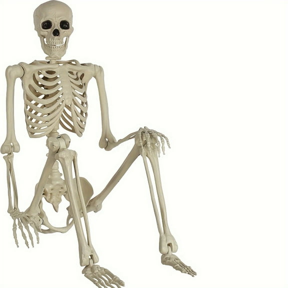 5.4Ft Posable Life Size Human Adult Skeletons Plastic Human Bones With Movable Joints For Halloween Decoration