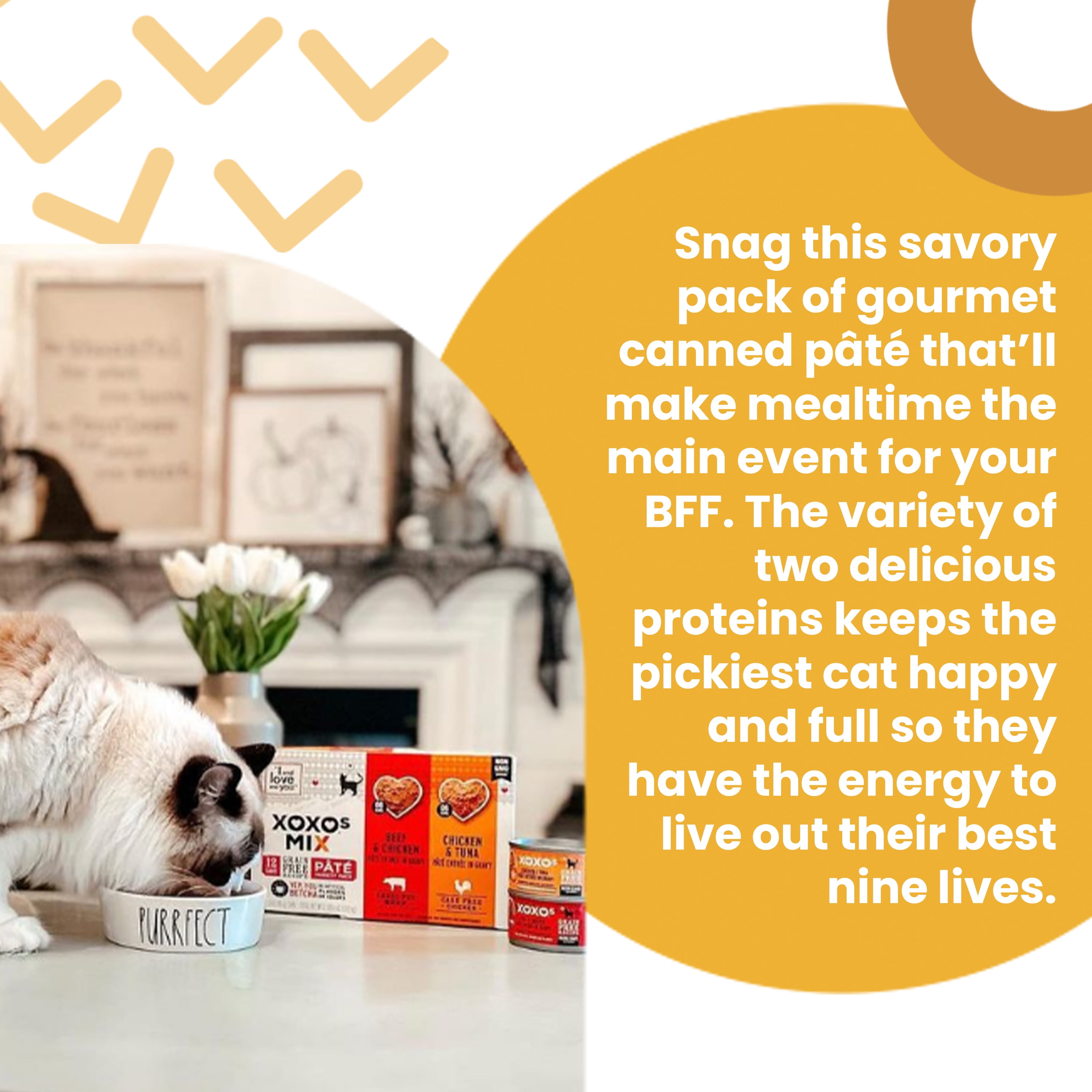 "I and love and you" XOXOs, Whitefish, and Tuna Pate' Canned Wet Cat Food