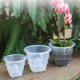 thumbnail image 1 of Maceta transparente para orquídeas de 10 cm Macetas de orquídeas transpirables con ranuras de plástico kaili Sencillez, 1 of 1