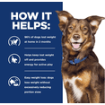 thumbnail image 3 of Combo Hill's Canino Metabolic 3.5 Kg MAS Dos Latas Royal Canin Adulto 385 gr, 3 of 3