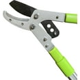 thumbnail image 2 of GARDEN GURU Extendable Anvil Lopper Tree Trimmer with Compound Action, Chops Thick Branches w/ Ease, 28-40”, Non-Stick High Carbon Steel Blade, Heavy Duty Branch Cutter, 2 Inch Clean Cut Capacity (2), 2 of 6