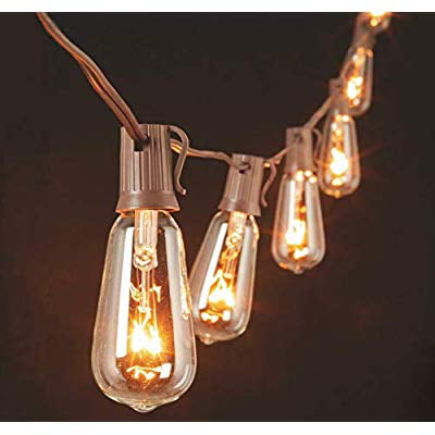 10-Pack Edison Light Bulbs ST40 Clear Replacement Bulbs-7 Watts 120 Volts E17 