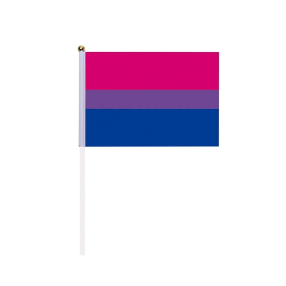 Pride Stick Flag Set Small Handheld Rainbow Flags for Events Parades Celebrations and Decorations