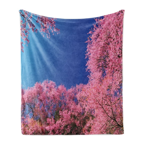 Floral Soft Flannel Fleece Blanket, Cherry Blossom with Clear Sky Sunny Day View Country Road Garden Spring Landscape, Cozy Plush for Indoor and Outdoor Use, 50" x 70", Fuchsia Blue, by Ambesonne