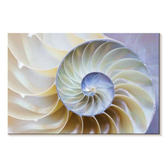 Elephant Stock Empty Nautilus Shell Wall Art - Horizontal Canvas Wall Art - Living Room Wall Decor - Animal Canvas - Blue And Purple Decor - 12" x 8"