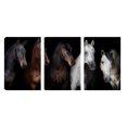 thumbnail image 1 of Cuadro Decorativo Tríptico Vertical Retrato de Caballos Canvas Revolution  Set De 3 Cuadros 25x38 cm, 1 of 5
