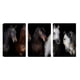 thumbnail image 1 of Cuadro Decorativo Tríptico Vertical Retrato de Caballos Canvas Revolution  Set De 3 Cuadros 25x38 cm, 1 of 5