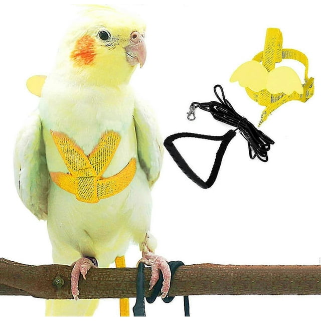 Arnés ajustable para pájaros con correa de 80 pulgadas, kit de vuelo al aire libre, cuerda de entrenamiento para pájaros, loros, cacatúas