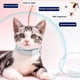thumbnail image 4 of Collar antipulgas y garrapatas para perros y gatos. Elimina pulgas y garrapatas. Protección duradera. Collar resistente al agua para el tratamiento y prevención de pulgas y garrapatas., 4 of 5