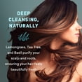 thumbnail image 5 of Just Nutritive Hydrating & Clarifying Shampoo for Oily Hair, Tea Tree Cleanser, Sulfate-Free, 16 oz, 5 of 9