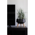 thumbnail image 2 of Hide & Seek Supply 4005 Cole Ceramic Planter with Beech Wood Legs, Sandy Black, 2 of 6