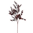 thumbnail image 1 of Vickerman FF190827 27 Po. Bordeaux Eucalyptus Bush, 1 of 1